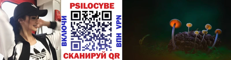 Псилоцибиновые грибы Psilocybe  что такое наркотик  дарк нет как зайти  Маркс 