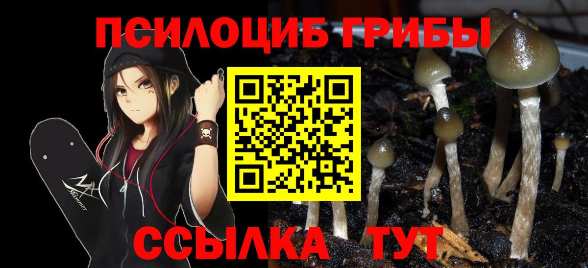 Маркс  Галлюциногенные грибы Cubensis  Вход с VPN 